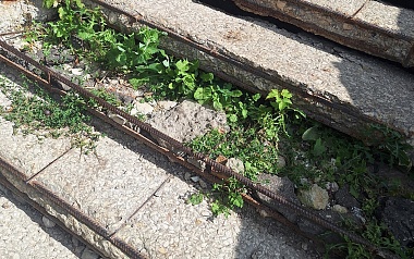 Рязанцы жалуются на критическое состояние лестницы на улице Свободы