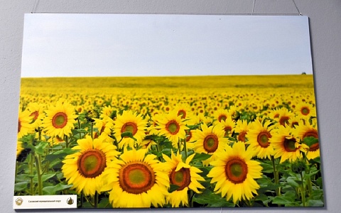 В Рязани открыли фотовыставку, посвященную фермерам региона