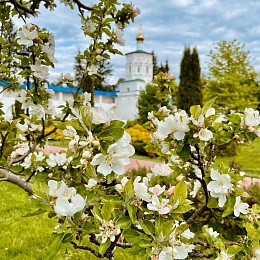 Три секрета здоровья: как санаторий «Солотча» помогает людям - 62ИНФО Три секрета здоровья: как санаторий «Солотча» помогает людям