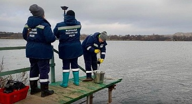 В Проне обнаружили превышение меди и цинка