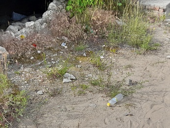 В Рязани проинспектировали пляж на Борковском карьере