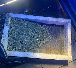 Крупную партию марихуаны обнаружили в гараже жителя Ряжска - 62ИНФО Крупную партию марихуаны обнаружили в гараже жителя Ряжска