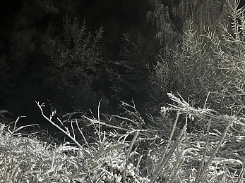 Снежное полнолуние марта сфотографировали в рязанской глубинке - 62ИНФО Снежное полнолуние марта сфотографировали в рязанской глубинке