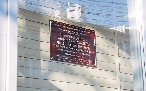  В Рязани девочка-подросток съела кило хурмы и попала в больницу с фитобезоаром