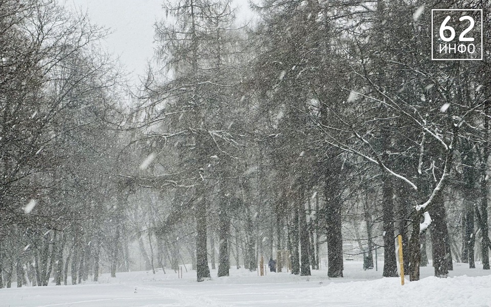 Рязанскую область 2 февраля накроет снежный 9-балльный шторм - 62ИНФО