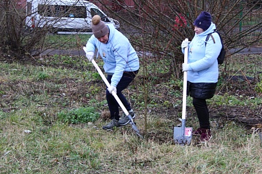 В Новопавловской роще высадили десятки новых деревьев