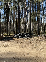 У "Тропы Паустовского" под Рязанью устроили свалку
