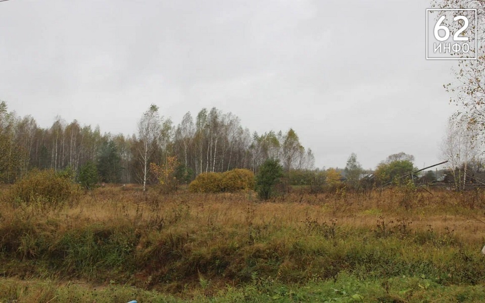 В Рязанской области 17 октября будет дождь и от +1 до +9°С - 62ИНФО