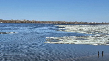 Фото, список залитых мостов, уровень рек: паводок в Рязанской области 29 марта