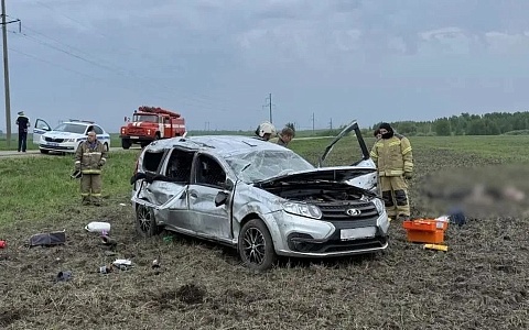 В ДТП в Михайловском районе пострадали 6 человек