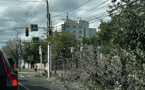 В Рязани на Есенина затруднено движение из-за спила деревьев