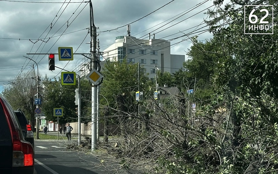 В Рязани на Есенина затруднено движение из-за спила деревьев - 62ИНФО