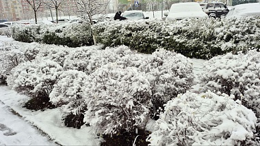 Фоторепортаж: в Рязани 15 ноября выпал первый снег