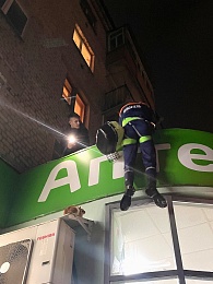 Девять домашних кошек оказались выброшены на крышу магазина в Рязани 