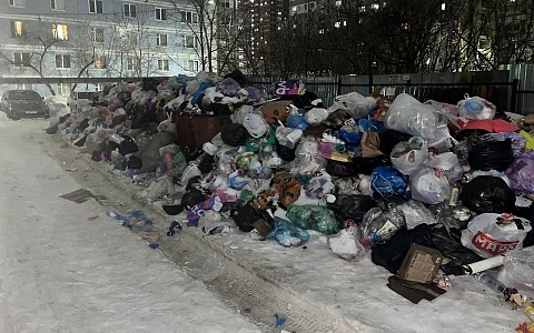 "Крысы радуются": рязанцы показали мусорный вал на Ленкома