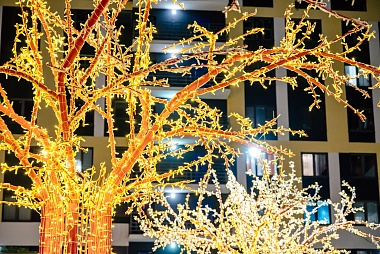 Пятикратный чемпион мира по гребле Захар Петров получил квартиру в Рязани