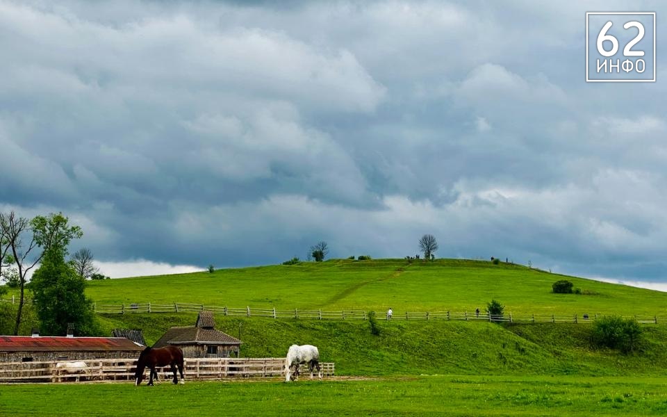 Рязанцам 2 июля пообещали дожди, грозы и небольшое потепление - 62ИНФО