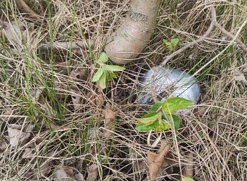 В Касимове задержан наркодилер с крупной партией запрещенных веществ