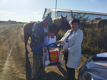 Жаба, Панда и Дед Мороз: как проходит 3 день голосования в рязанских УИКах - 62ИНФО Жаба, Панда и Дед Мороз: как проходит 3 день голосования в рязанских УИКах