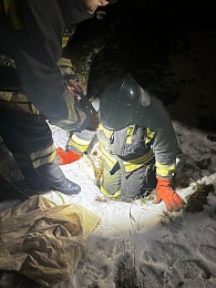 Щенок провалился и просидел три дня в траншее на заводе в Рязани