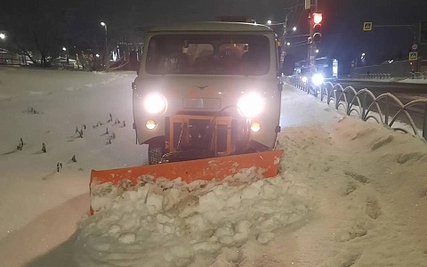 В Рязани за ночь вывезли 750 кубометров снега