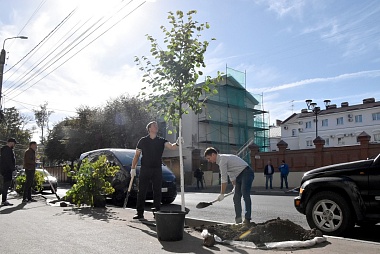 В Рязани провели акцию по озеленению города