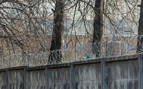 Рязанец отправился в колонию на семь лет за приобретение гранаты