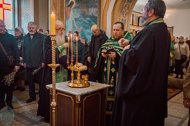 Вербное воскресенье 2025: фоторепортаж из Вознесенского храма