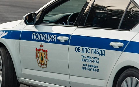 10 водителей оштрафовали за выезд на встречную полосу за сутки в Рязанской области 