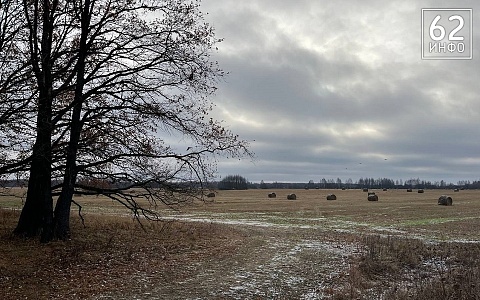 Труп пропавшей молодой рязанки нашли закопанным в поле