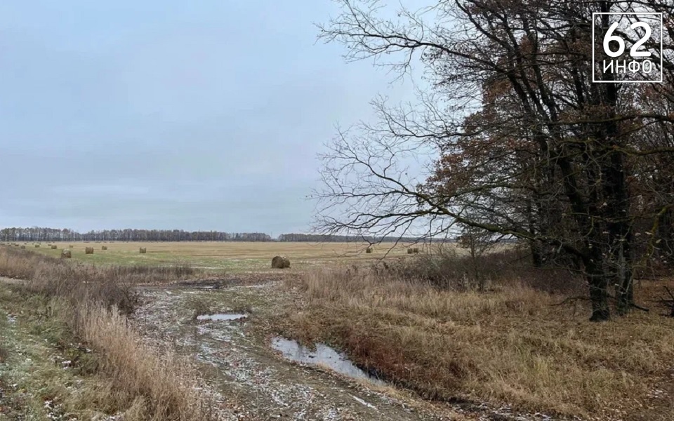 Аномальное тепло и метели: рязанцам рассказали о погоде в ноябре - 62ИНФО