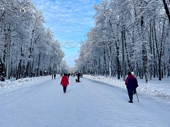 Снег и гирлянды превратили Рязань в новогоднюю открытку