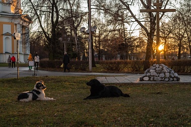 Рязанская епархия показала фотографии митрополита Марка - 62ИНФО Рязанская епархия показала фотографии митрополита Марка