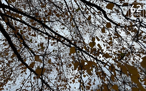 Рязань ждут дожди и тепло