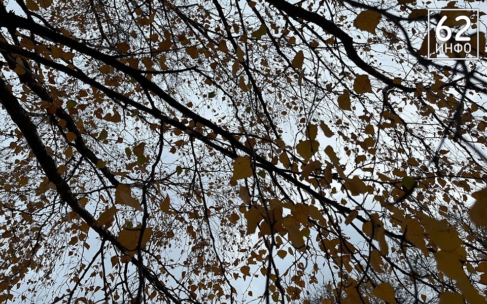 Рязань ждут дожди и тепло - 62ИНФО