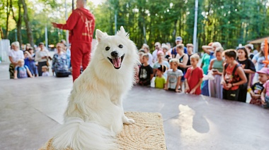 В Рязани открылась выставка в честь 105-летия Российского цирка