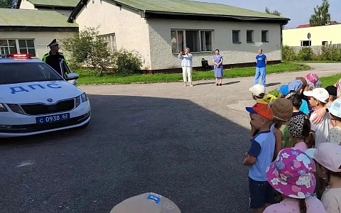 Госавтоинспекция Рязанской области провела профилактическое мероприятие с дошколятами  