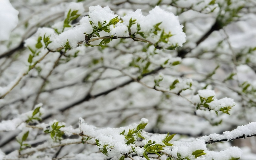 В Рязанской области 21 апреля продолжится снегопад