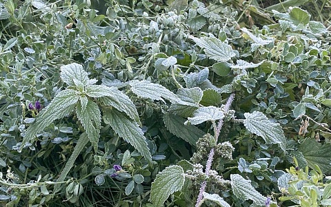 Синоптики рассказали рязанцам, чего ждать от первого дня зимы
