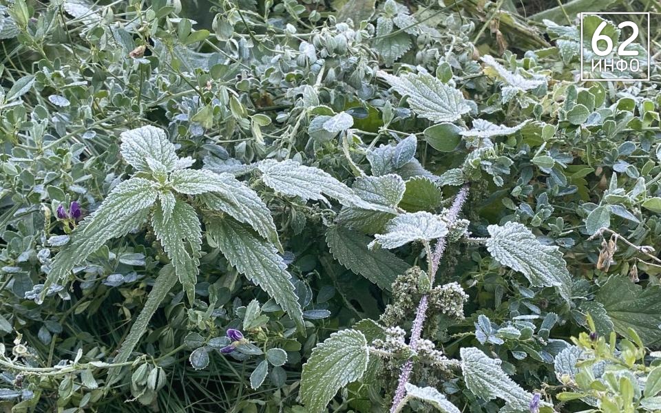 Синоптики рассказали рязанцам, чего ждать от первого дня зимы - 62ИНФО