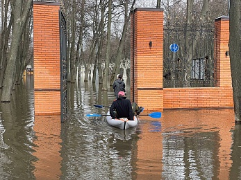 Фоторепортаж: рязанцы покоряют затопленный Лесопарк на лодках и сап-бордах - 62ИНФО Фоторепортаж: рязанцы покоряют затопленный Лесопарк на лодках и сап-бордах
