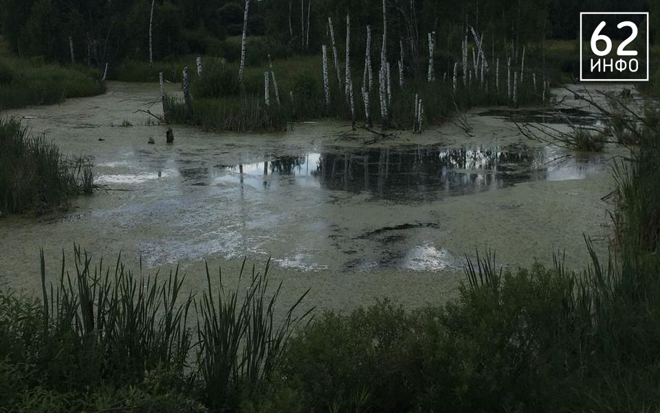 Для расчистки реки Трубеж будут искать федеральное финансирование - 62ИНФО