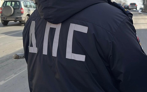 Рязанская Госавтоинспекция опубликовала результаты рейда «Встречная полоса»  