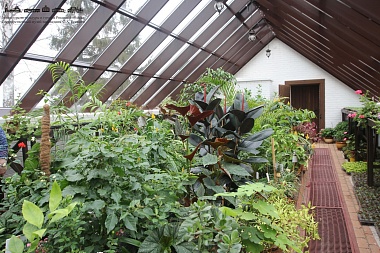 В музее Есенина в Константинове открыли оранжерею Кашиной - 62ИНФО В музее Есенина в Константинове открыли оранжерею Кашиной