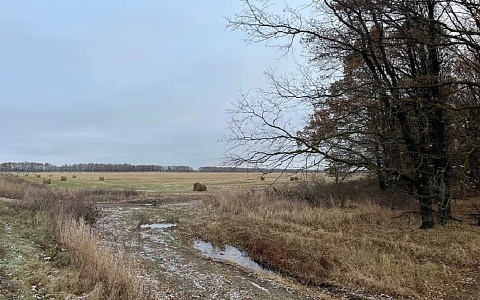 В Рязанской области 14 ноября ждут тепла и сильного ветра