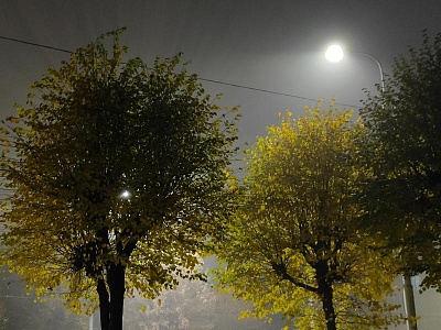 Туманная погода в Рязанской области продлится ещё на сутки