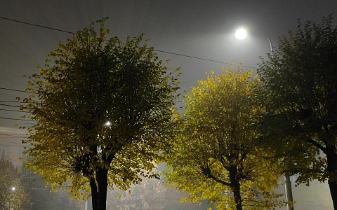 Туманная погода в Рязанской области продлится ещё на сутки