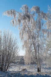Рязанская епархия показала фотографии митрополита Марка - 62ИНФО Рязанская епархия показала фотографии митрополита Марка