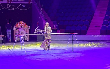 Рязанский цирк представил новогоднее шоу "Тайна пирата"