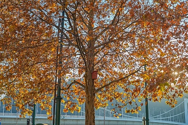 Рязанская епархия показала фотографии митрополита Марка - 62ИНФО Рязанская епархия показала фотографии митрополита Марка